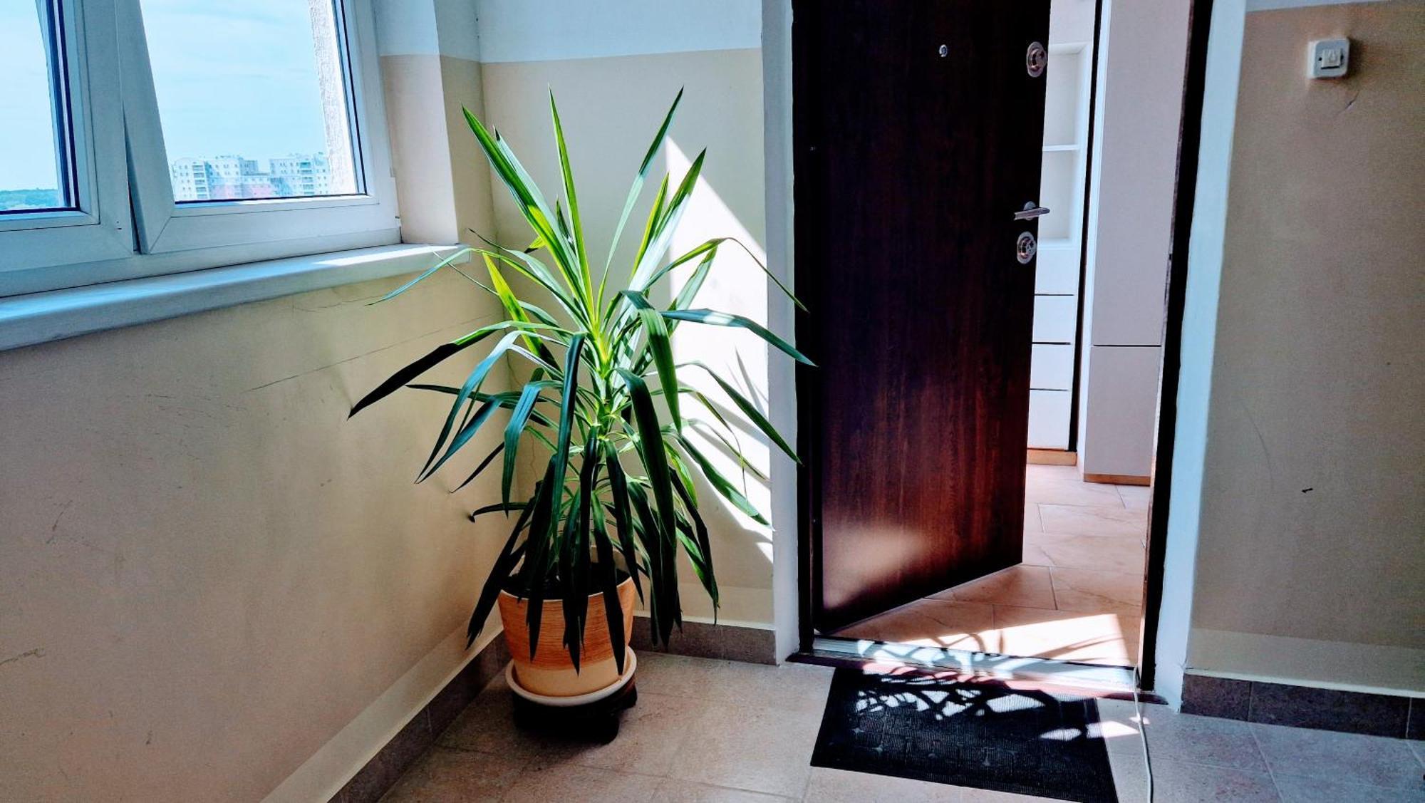 Meander Natolin Pokoje Blisko Metra Warsawa Bagian luar foto